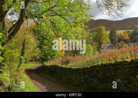 Ruhige Spur leuchtet im Herbst Sonne führt zu Codley Gate Farm Vindolanda Roman Fort und Museum, in der Nähe von Hadrian's Wall, Northumberland, Großbritannien. Oktober 2017. Stockfoto