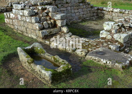 Römische Steintrog und Ruinen in Vindolanda Roman Fort, neben dem Hadrian's Wall, Northumberland. UK. 2017. Stockfoto