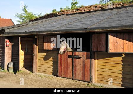 Gniew Burg, eine der bekanntesten Sehenswürdigkeiten in Pommern, Polen. Stockfoto