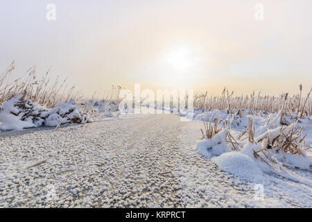 Comana See im winter Stockfoto