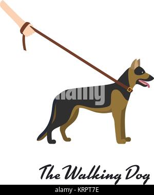 Deutscher Schäferhund mit der Leine auf weißem Hintergrund. Vector Illustration Stock Vektor