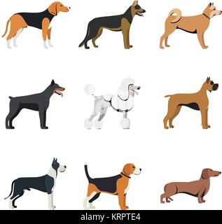 Andere Art der Hunde Rasse mit Beagle, Deutscher Schäferhund, Akita Inu, Dobermann, Pudel, Boxer, Deutsche Dogge und Deutscher Schäferhund. isolierte Vektor gesetzt Stock Vektor