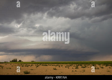 Eine supercell Thunderstorm schafft eine gespenstische Szene über Ackerland im östlichen Colorado. Stockfoto