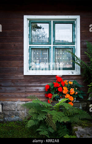 Wand von Holzhaus mit Fenster und bunten Blumen Stockfoto