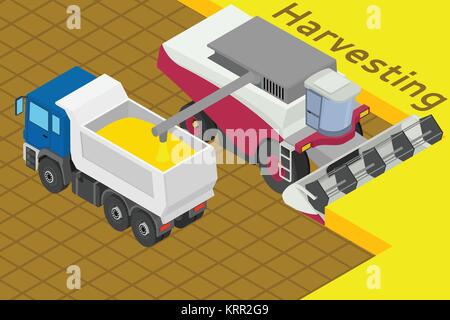 Mähdrescher ernten sammeln Weizen im Feld. Verbraucher im Fahrzeug. Geräte für die Landwirtschaft. Stock Vektor