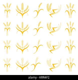 Ohren von Weizen, Gerste oder Roggen Vektor einrichten Visual grafische Symbole, ideal für Brot, Verpackung, Bier Etiketten usw. Landwirtschaftliche Dekor. Stock Vektor