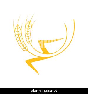 Ohren von Weizen, Gerste oder Roggen Vektor visuelle grafische Symbole, ideal für Brot, Verpackung, Bier Etiketten etc. Stock Vektor