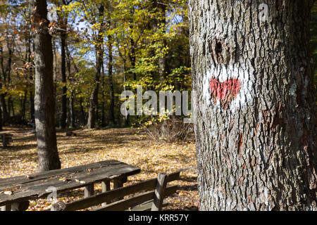 Bild von roten Herzen auf Baum gemalt Stockfoto