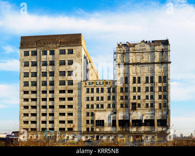 Das Millennium Mills ist ein verfallenes Wende des 20. Jahrhunderts Mühle in West Silvertown auf der Südseite des Royal Victoria Dock, London, England Stockfoto