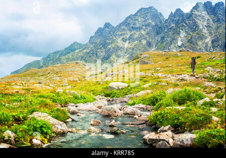 Mountain Stream in Hohe Tatra, Slowakei Stockfoto