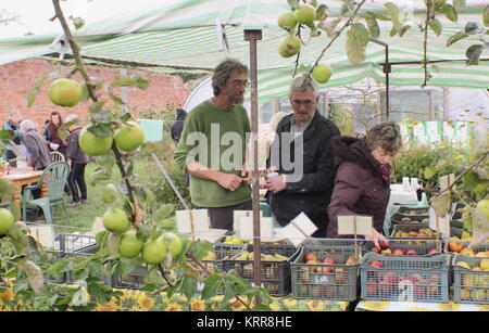 Besucher durchzulesen und Äpfel an der jährlichen Apple Tag Feier im Obstgarten am Wortley Hall, Yorkshire im frühen Herbst UK kaufen Stockfoto