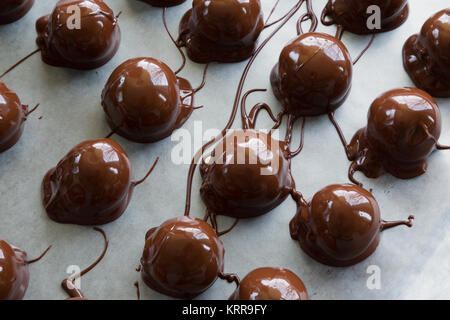 Frisch Abblendlicht hausgemachte Schokolade Erdnussbutter Kugeln. Stockfoto