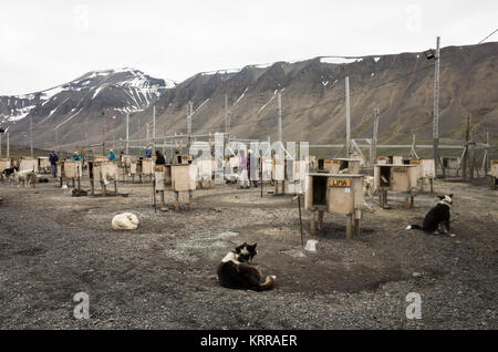LONGYEARBYEN, Svalbard – Eine Hundehütte für das Abenteuerunternehmen Basecamp Explorer in Longyearbyen, Svalbard. Die Hundehütte befindet sich etwas außerhalb der Stadt im Südosten der Innenstadt von Longyearbyen und wurde im Stil eines traditionellen Hundeschlittenlagers gebaut. Stockfoto