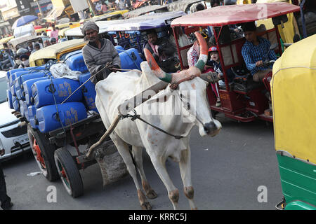 Ein Ochsenkarren und Treiber in dichtem Verkehr in Chandni Chowk, Neu Delhi, Indien Stockfoto