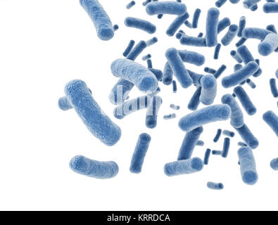 Bakterien eclls auf weißem Hintergrund Stockfoto
