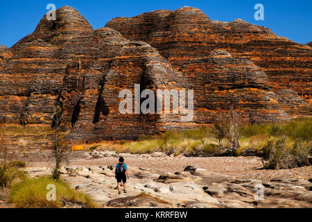 Die atemberaubende Landschaft der Bienenstock wie Sandstein Formationen ist atemberaubend, Bungle Bungles, Purnululu National Park, Australien Stockfoto