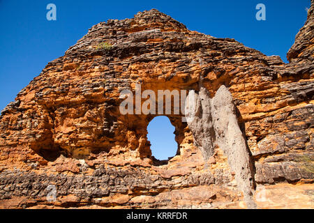 Das Schlüsselloch, eine der vielen in der spektakulären Landschaft der remote Bungle Bungles, Purnululu National Park, Western Australia, Australien Wanderungen: Stockfoto