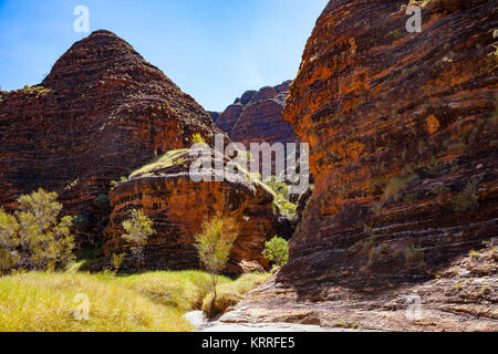 Der Weg zum Cathedral Gorge, Bungle Bungles, Purnululu National Park, Western Australia, Australien Stockfoto