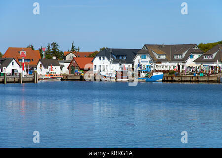 Blick vom Meer auf Dorf Vitte, Insel Hiddensee, Mecklenburg-Vorpommern, Ostsee, Deutschland, Europa Stockfoto