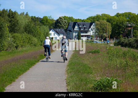 Radfahrer auf einem Weg aus dem Dorf Vitte in das Dorf, das Kloster, Insel Hiddensee, Mecklenburg-Vorpommern, Ostsee, Deutschland, Europa Stockfoto