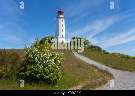 Leuchtturm Dornbusch auf Schluckwiekberg, Wahrzeichen der Insel Hiddensee, Mecklenburg-Vorpommern, Ostsee, Deutschland, Europa Stockfoto