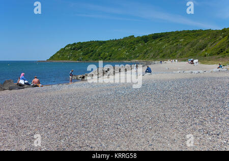 Strand von Vitte, Insel Hiddensee, Mecklenburg-Vorpommern, Ostsee, Deutschland, Europa Stockfoto