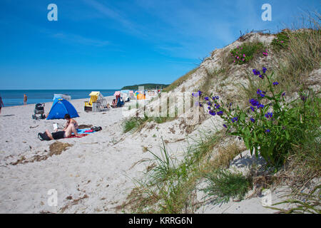 Die Leute am Strand von Vitte, Insel Hiddensee, Mecklenburg-Vorpommern, Ostsee, Deutschland, Europa Stockfoto