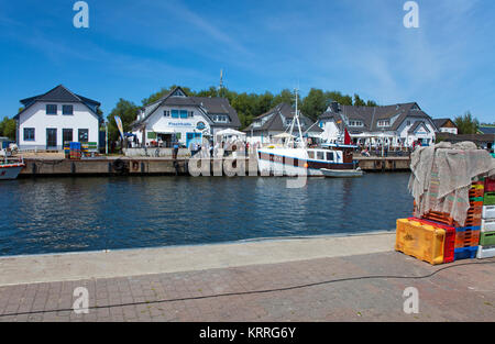 Fischkutter im Hafen des Dorfes Vitte, Insel Hiddensee, Mecklenburg-Vorpommern, Ostsee, Deutschland, Europa Stockfoto