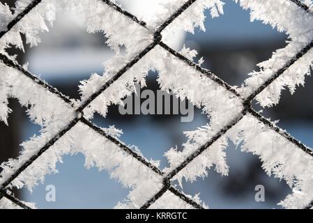 Rusty Gitterzaun mit Frost und Raureif mit unscharfen Hintergrund im Winter abgedeckt Stockfoto