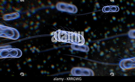 Eine atemberaubende 3-D-Darstellung der gefährlichen Bakterien mit dünner Zotten und transparente Schwänze flyimg im schwarzen Umgebung mit vielen kleinen und enigmati Stockfoto