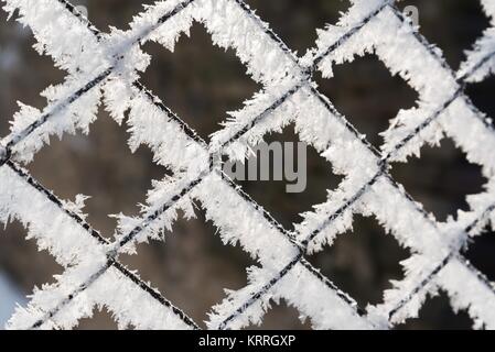 Rusty Gitterzaun mit Frost und Raureif mit unscharfen Hintergrund im Winter abgedeckt Stockfoto
