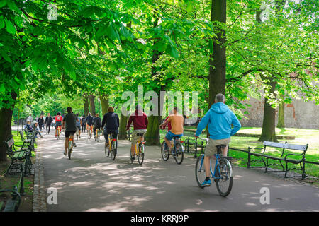 Männer Fahrradpark, Blick auf einen sonnigen Tag einer Gruppe von männlichen Radfahrern, die mit ihren Fahrrädern durch den Planty Park im Zentrum von Krakow, Polen fahren. Stockfoto