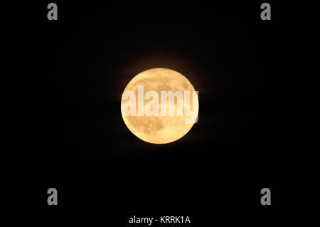 Größter Supermond seit 70 Jahren - fotografiert am 14.11.2016 in Berlin Biesdorf Stockfoto