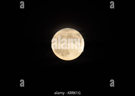 Größter Supermond seit 70 Jahren - fotografiert am 14.11.2016 in Berlin Biesdorf Stockfoto