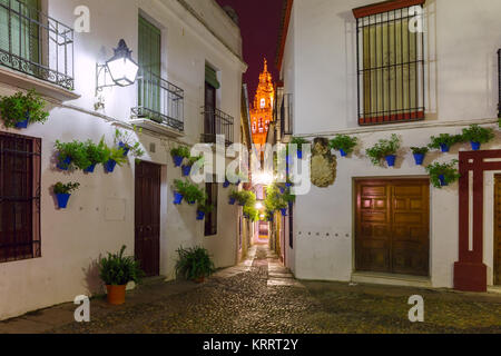 Blume Straße Calleja de Las Flores Córdoba, Spanien Stockfoto