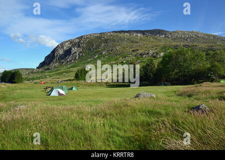 Zelte auf Gwern Gof Usif Campingplatz am Fuße des Mount Tryfan, Snowdonia, Wales, Großbritannien Stockfoto