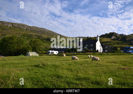 Schafe, Zelte, Reisemobil bei Gwern Gof Usif Campingplatz am Fuße des Mount Tryfan, Snowdonia, Wales, Großbritannien Stockfoto