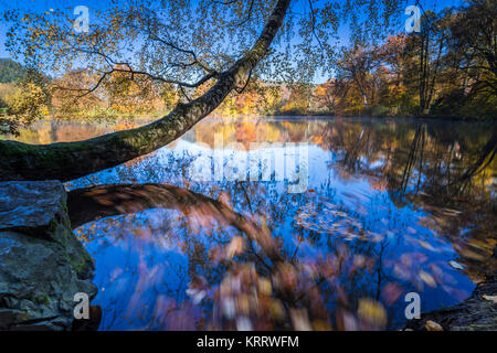 Tanzende Blätter im Herbst bei langer Belichtung, buntes Herbstlaub und deren Wanderung in 1963 sehen, blauer Himmel und Bunter Herbst am Wasser Stockfoto