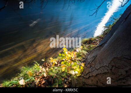 Tanzende Blätter im Herbst bei langer Belichtung, buntes Herbstlaub und deren Wanderung in 1963 sehen, blauer Himmel und Bunter Herbst am Wasser Stockfoto