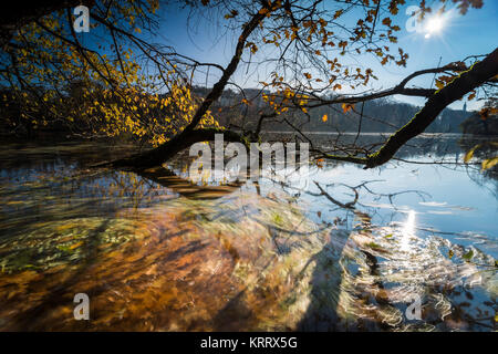 Tanzende Blätter im Herbst bei langer Belichtung, buntes Herbstlaub und deren Wanderung in 1963 sehen, blauer Himmel und Bunter Herbst am Wasser Stockfoto