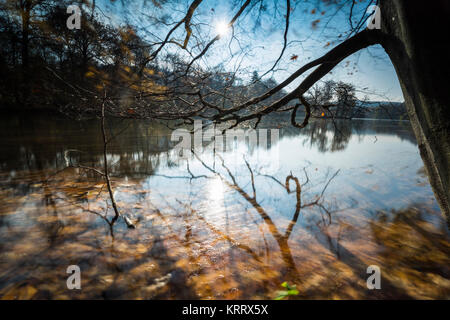 Tanzende Blätter im Herbst bei langer Belichtung, buntes Herbstlaub und deren Wanderung in 1963 sehen, blauer Himmel und Bunter Herbst am Wasser Stockfoto