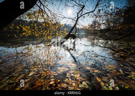 Tanzende Blätter im Herbst bei langer Belichtung, buntes Herbstlaub und deren Wanderung in 1963 sehen, blauer Himmel und Bunter Herbst am Wasser Stockfoto