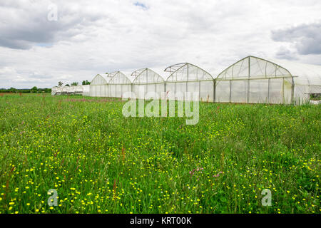 Anzeigen von Gewächshäusern in der Landschaft Stockfoto