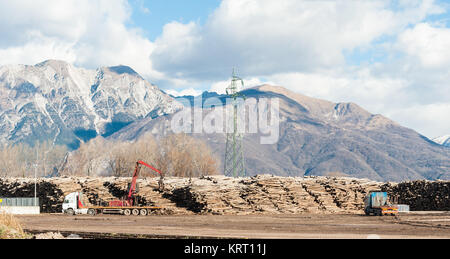 Aufbewahrung der Protokolle für die Holzindustrie. Stockfoto