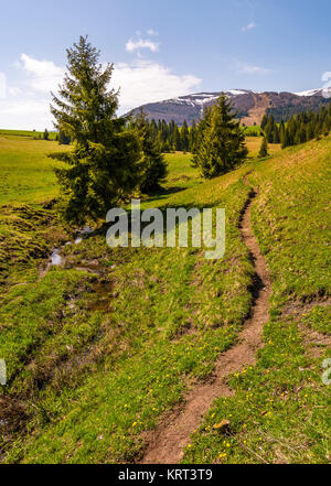Pfad durch grasigen Hang zum Wald. schönen Frühling Landschaft mit schneebedeckten Gipfeln in der Ferne Stockfoto