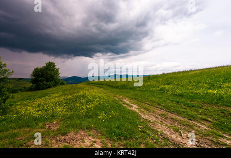Landschaft Weg durch Wiese. schönen bergigen Landschaft der Karpaten vor dem Sturm Stockfoto