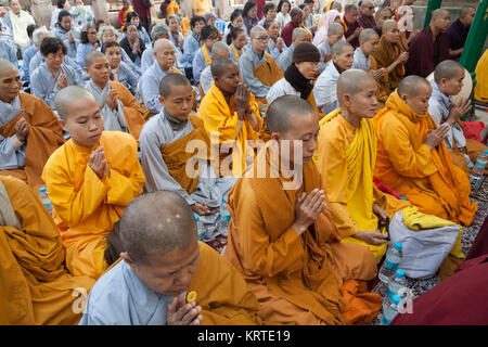 Pilger in Safranroben beten unter dem Bodhi-baum am Mahabodhi Tempel in Bodhgaya, Indien Stockfoto