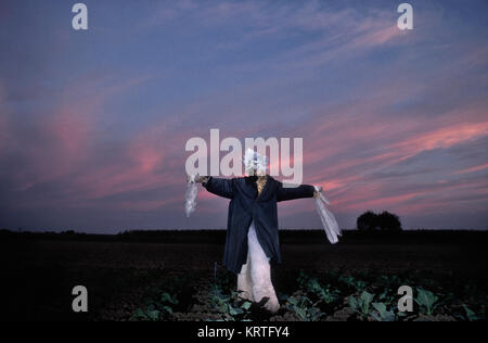 Vogelscheuchen, Wächter der Samen Stockfoto