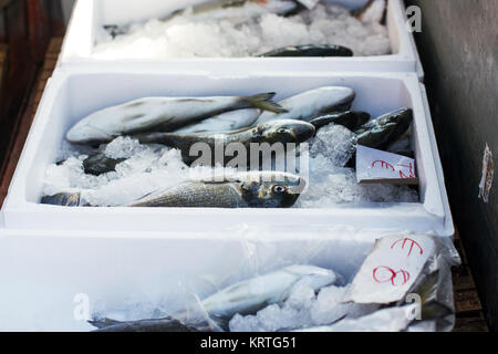 Meer Fischmarkt Stockfoto