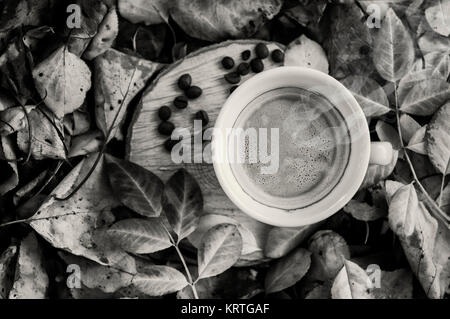 Schwarz-weiß Foto von einer Tasse Kaffee auf einem Baumstumpf unter den gefallenen Blätter Stockfoto